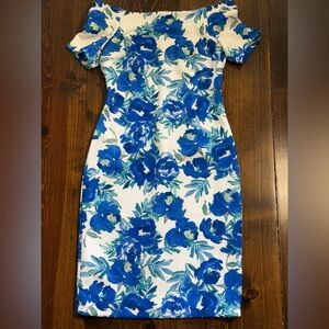 Floral Blue and White Dress